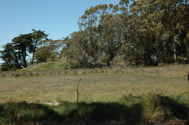 Morro Bay 027.JPG